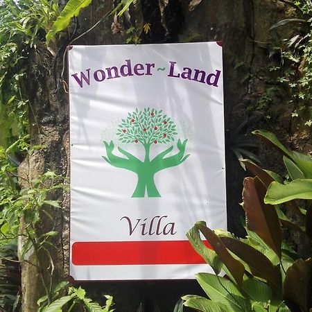 Wonder-Land Villa Ubud Exteriér fotografie