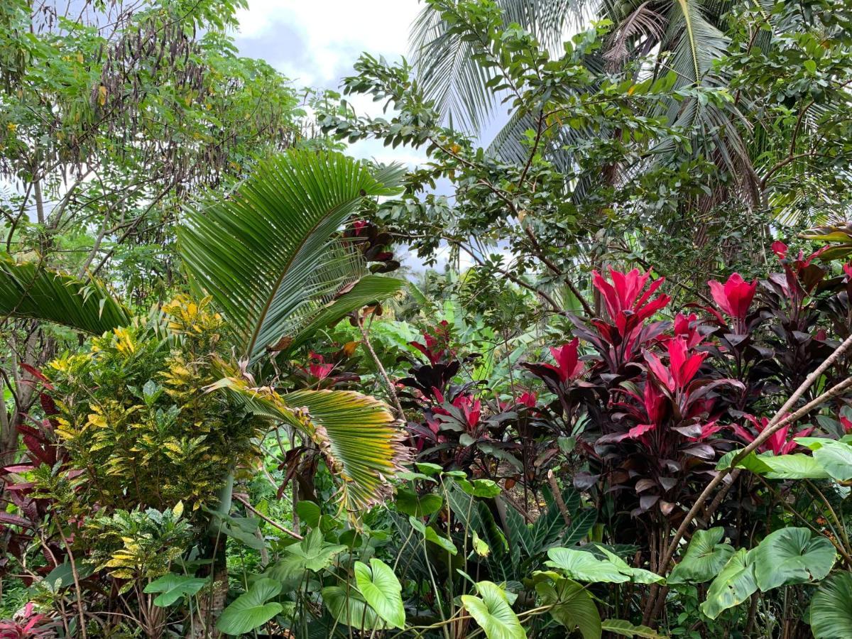 Wonder-Land Villa Ubud Exteriér fotografie