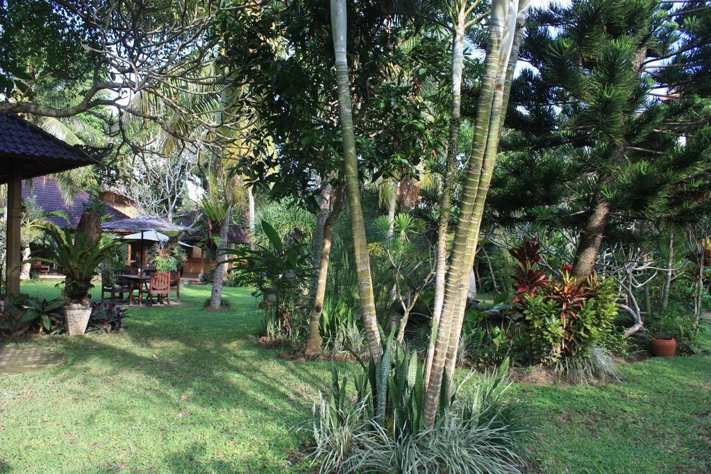 Wonder-Land Villa Ubud Exteriér fotografie