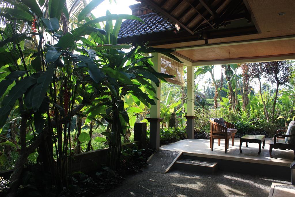 Wonder-Land Villa Ubud Exteriér fotografie