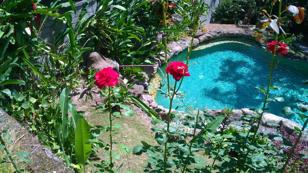 Wonder-Land Villa Ubud Exteriér fotografie