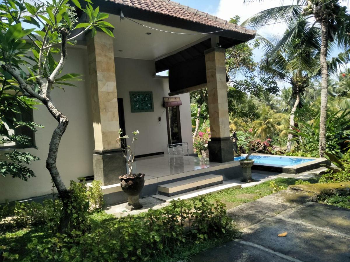 Wonder-Land Villa Ubud Exteriér fotografie