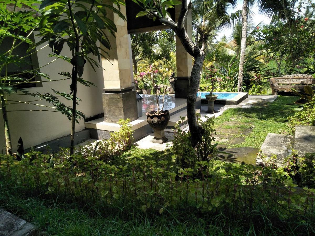 Wonder-Land Villa Ubud Exteriér fotografie
